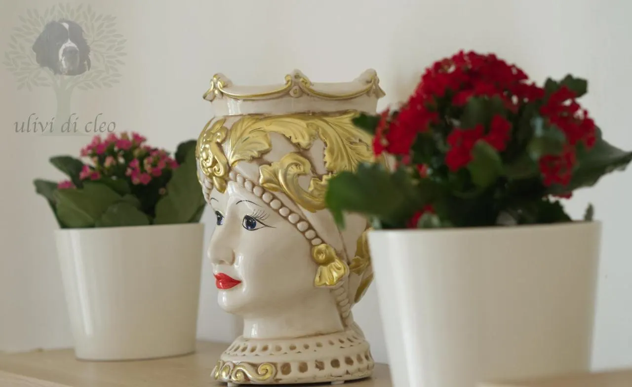 Ulivi Di Cleo Guest House Realmonte Country house
