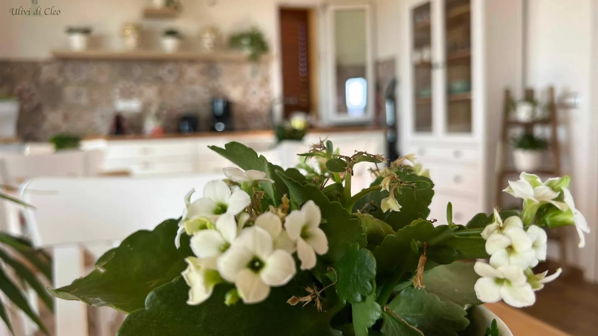 Country house Ulivi Di Cleo Guest House Realmonte