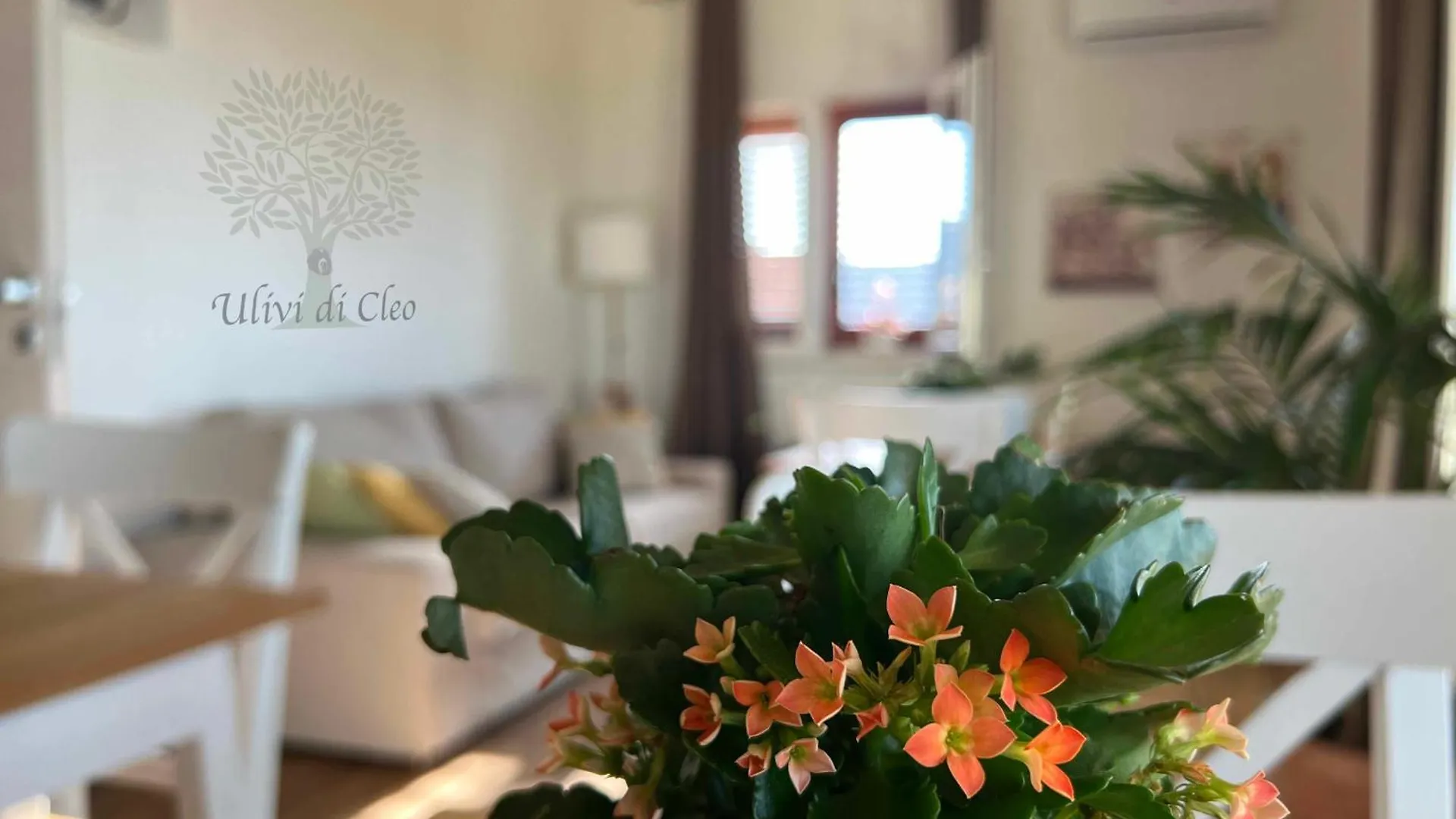 Ulivi Di Cleo Guest House Realmonte