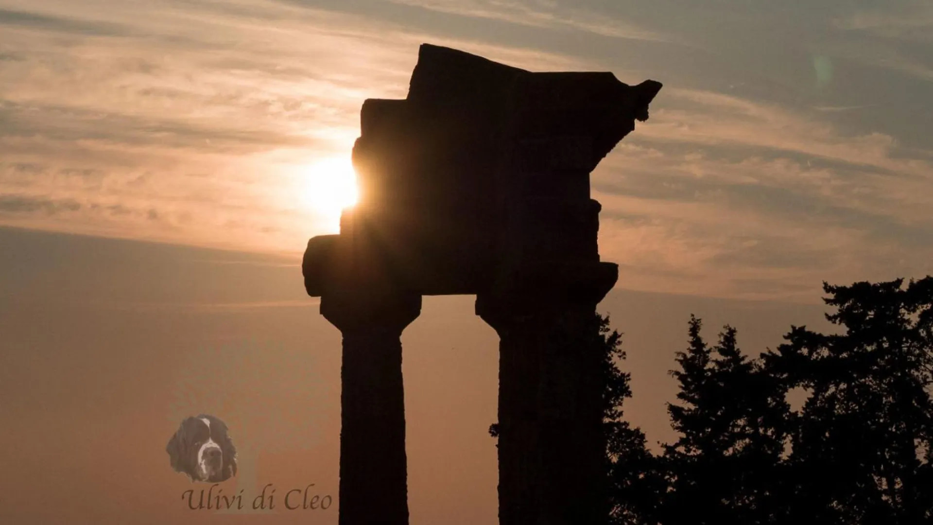 Country house Ulivi Di Cleo Guest House Realmonte